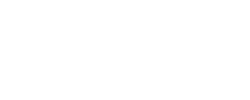 vis group logo